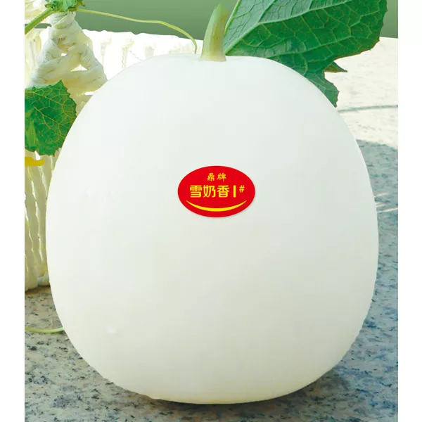 薄皮甜瓜，哪個(gè)品種最好呢？畝產(chǎn)高達(dá)10萬(wàn)，附4種市場(chǎng)爆款品種