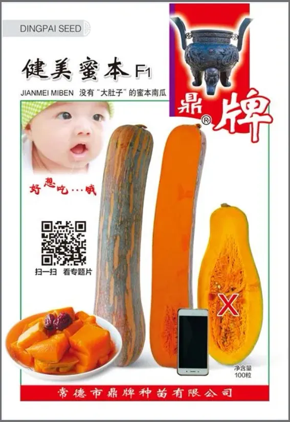 3元1斤的健美蜜本南瓜快成熟了，緬甸種植戶發(fā)來圖片與視頻