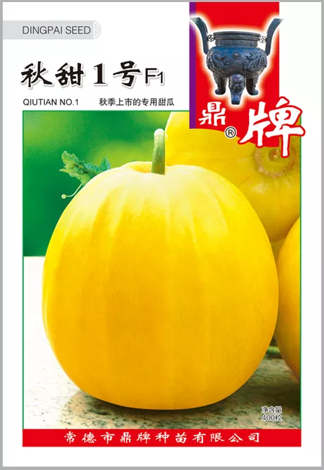 高溫季節(jié)種植甜瓜，什么品種最好？這個品種是秋季上市的專用品種