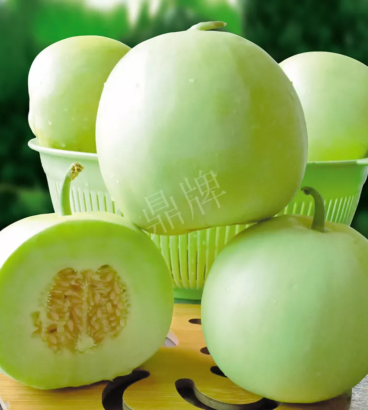 7元一斤還遭瘋搶，畝收益超2萬元！到底什么甜瓜能這么牛？