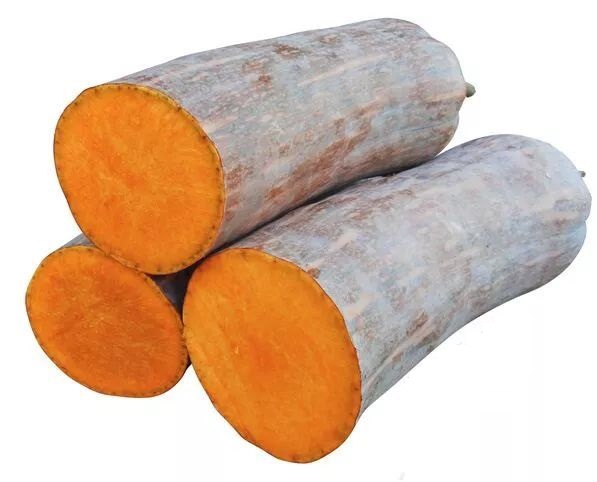 生吃都好吃南瓜新品種，沒(méi)有大肚子，肉質(zhì)更密致，農(nóng)戶(hù)試種下