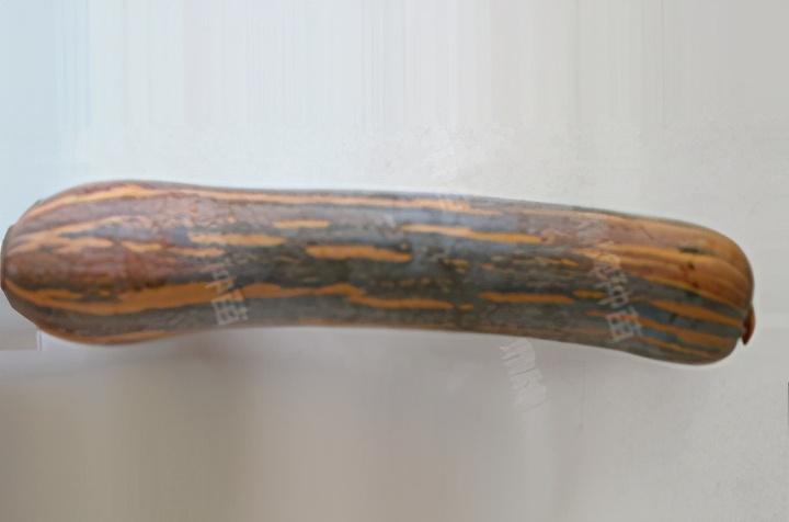 2020年，市面上的南瓜品種哪個口感最好、最甜、最值得種植？