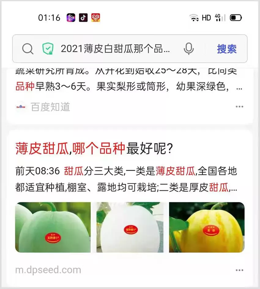 河南焦作的李向林今年種植甜瓜新品種，客戶直接拉貨走人