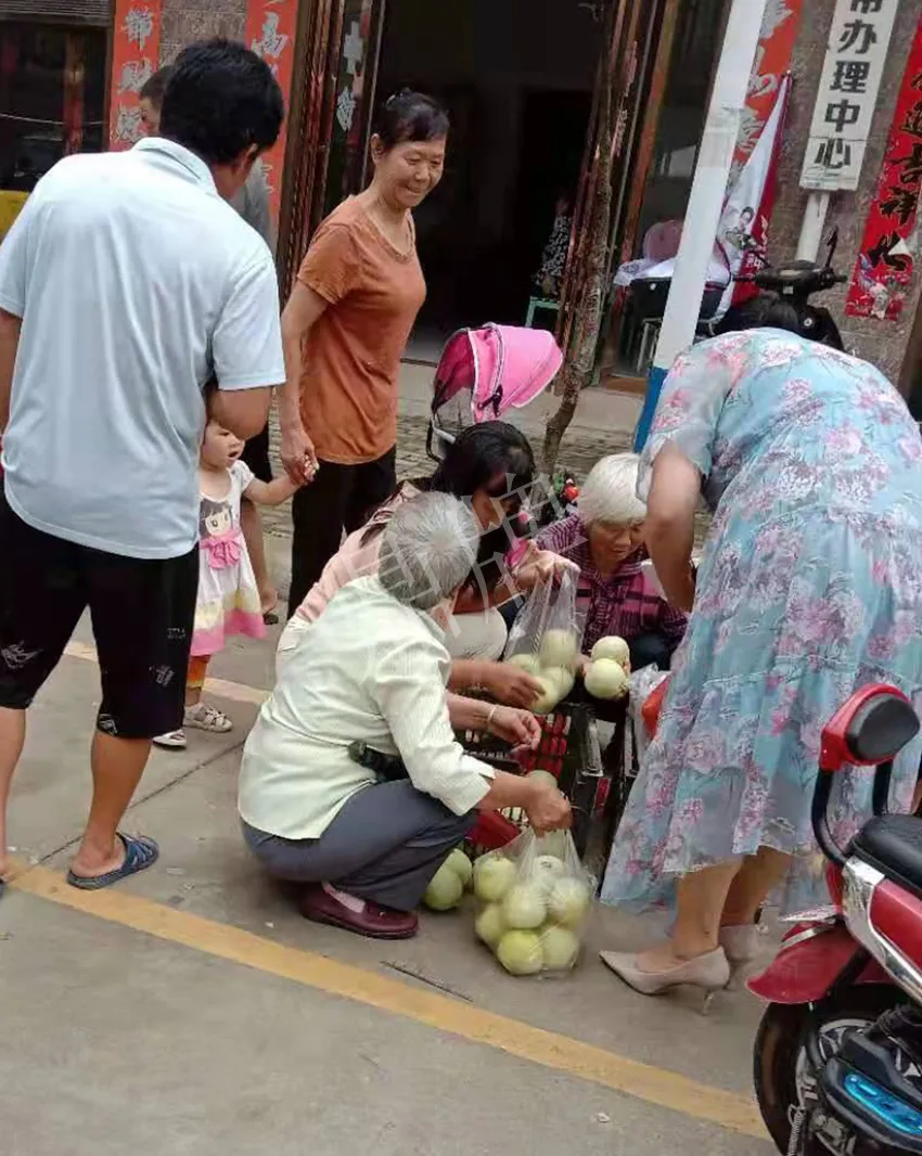 其他品種的甜瓜2塊1斤都賣不動，我的玉奶香2號甜瓜2塊5直接搶