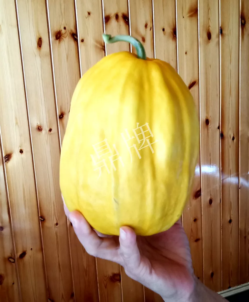 婁底瓜農(nóng)純賺50萬，我這個“張大膽”榮光了一把