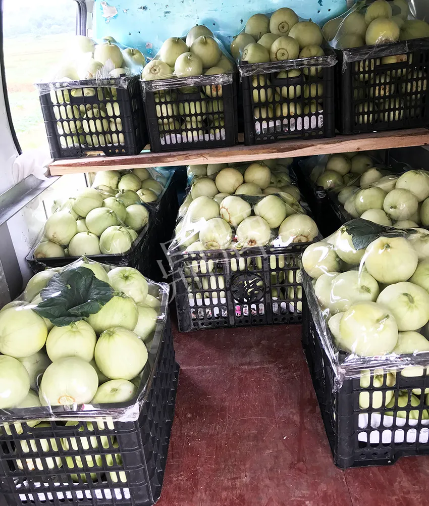 郴州農戶種植新品種，果實又香又甜，很好賣