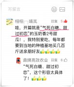 蔬菜種子種植戶客戶點評-“氣死白糖，甜過初戀”，您知道或體驗過這句話嗎